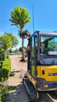 Miniexcavadora XCMG XE20E-C